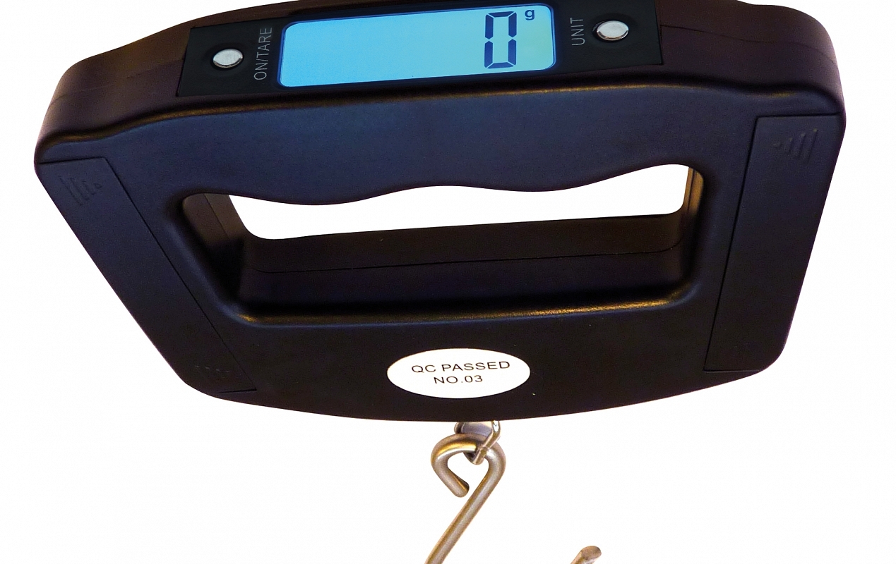 40 kg digital hanging scale Fire safety products by Cordia