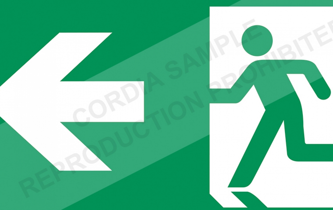 VSafety Cartello Di Sicurezza "Uscita Di Emergenza Freccia Sinistra" – 600x300 Mm, Plastica Rigida Blu, Conforme Norme EN ISO 7010
